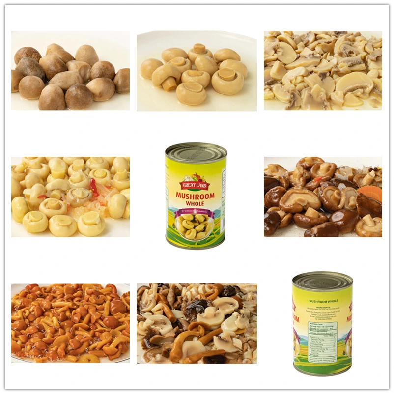 Champignon Drum Packing, Mushroom Drum Packing, Brined Mushroom in Drum,