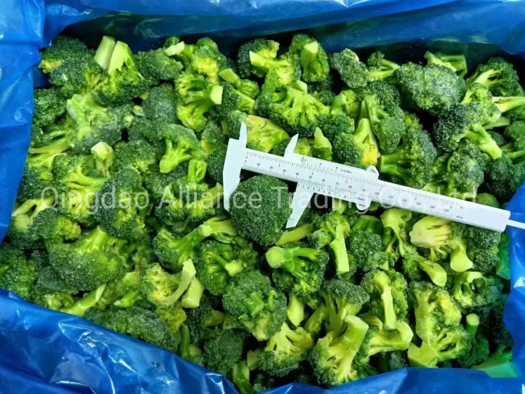 China Organic Manufacturer Factory Frozen Green Broccoli Cut IQF Crop Green Broccoli with Good Price