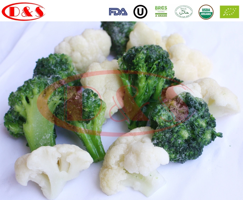 Wholesale with Best Price IQF Frozen Broccoli