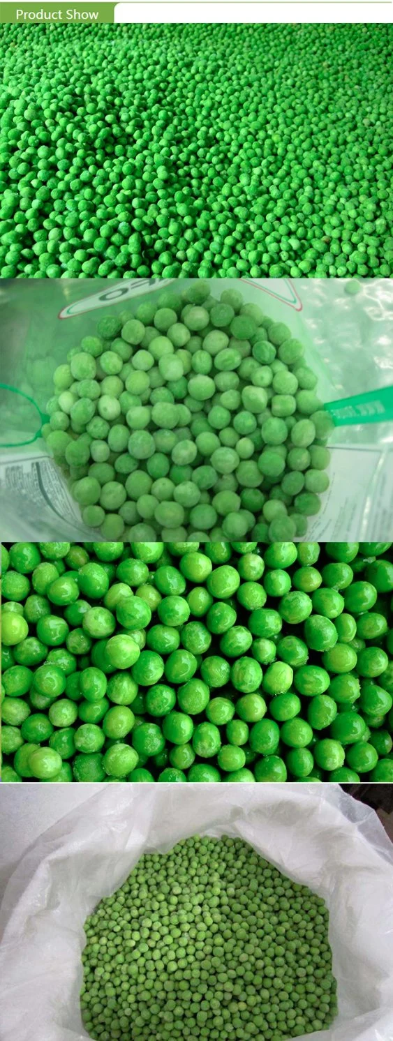 Top Quality New Crop Frozen IQF Green Peas with Brc HACCP