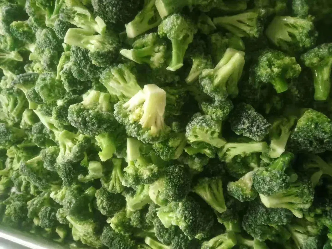Wholesale Bulk IQF Frozen Broccoli