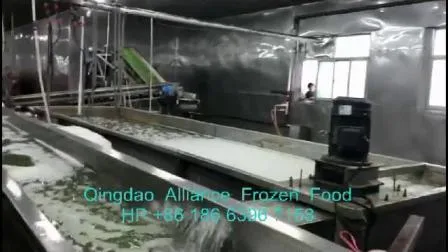 2022 Nouvelle récolte de pois verts surgelés de légumes de Chine avec Brc ISO FDA casher