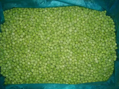Pois verts surgelés de légumes surgelés IQF