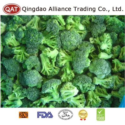 Chine Fabricant biologique Usine de brocoli vert congelé coupé IQF Récolte de brocoli vert à bon prix