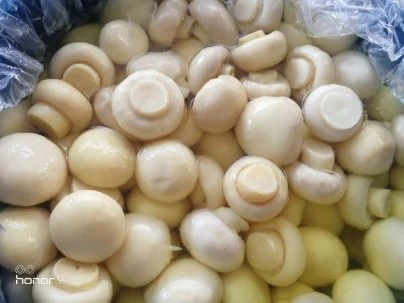 Champignons conservés dans un tambour en provenance de Chine