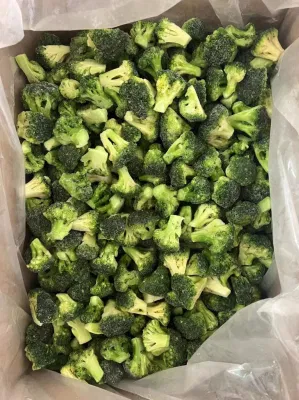 Brocoli vert surgelé IQF